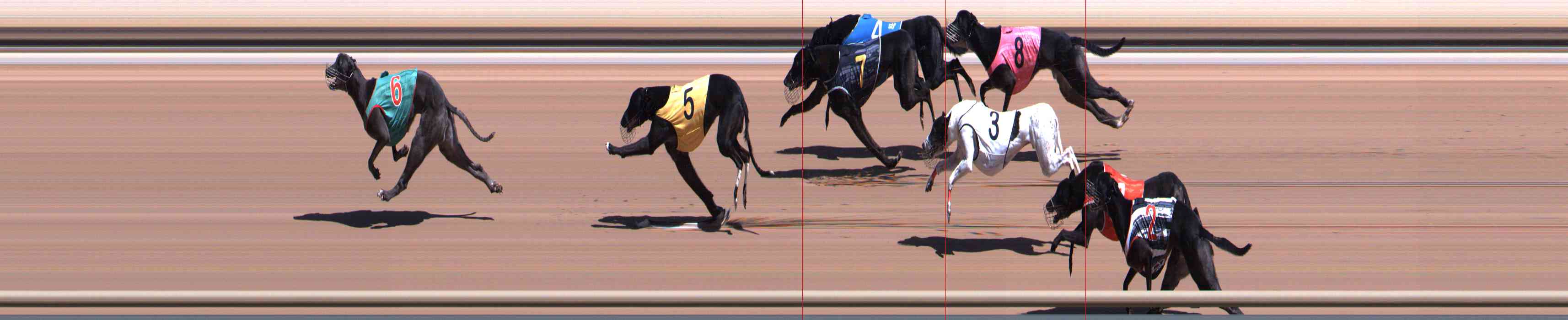 Race result finish photo